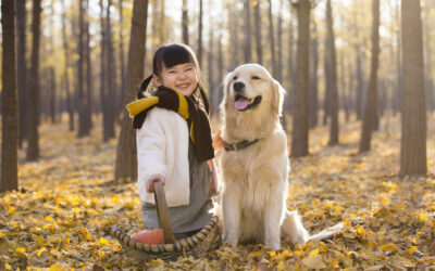 如何看懂狗狗的肢體語言？